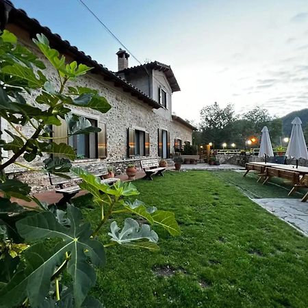 Spacious House In Ogassa With Terrace And Bbq Extérieur photo